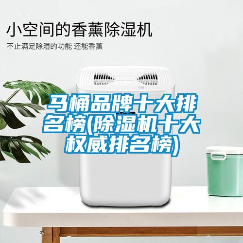 馬桶品牌十大排名榜(除濕機十大權(quán)威排名榜)