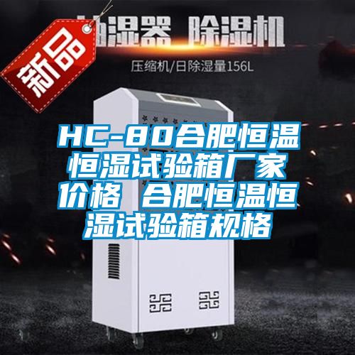 HC-80合肥恒溫恒濕試驗箱廠家價格 合肥恒溫恒濕試驗箱規(guī)格