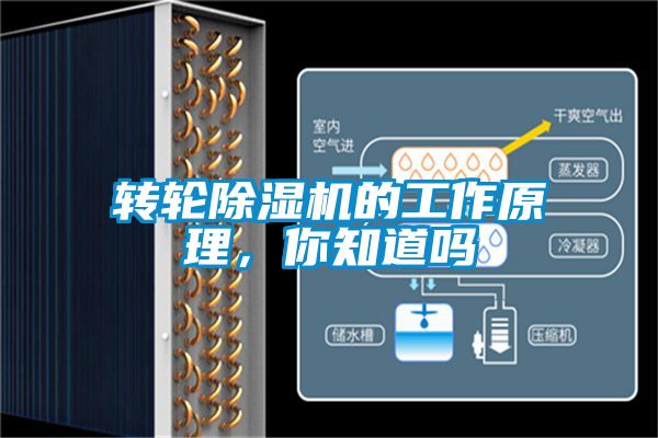 轉(zhuǎn)輪除濕機的工作原理，你知道嗎