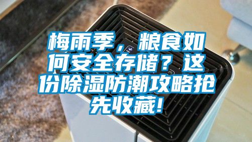 梅雨季，糧食如何安全存儲？這份除濕防潮攻略搶先收藏!