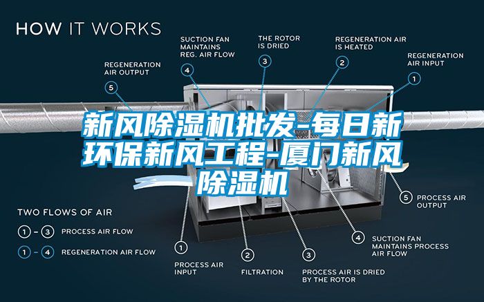 新風除濕機批發(fā)-每日新環(huán)保新風工程-廈門新風除濕機